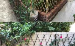 竹子怎么搭爬藤架？植物爬藤墙架用什么材料