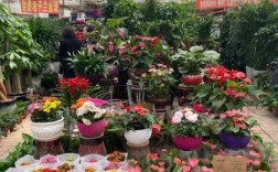 与花有关，给社区取名？绿色植物花卉市场起名
