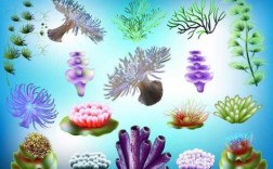 海底植物的特点描述4种？海底的植物有哪些特点