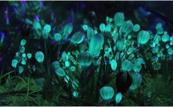 植物经得住紫外灯照射吗？能分泌杀菌素的植物有哪些