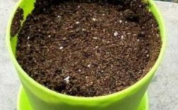如何松土不伤害根系？给植物松土应该怎么做