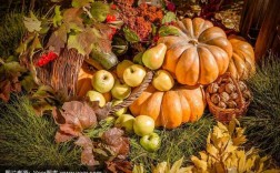 秋天成熟的农作物有哪些？秋季代表性的植物是什么
