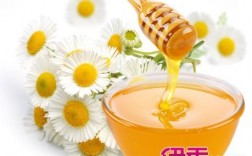 菊花蜜是什么味？肿柄菊花是蜜源植物吗