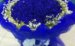请问12支蓝玫瑰加上满天星的花语是什么意思啊？12月开蓝色花的植物图片