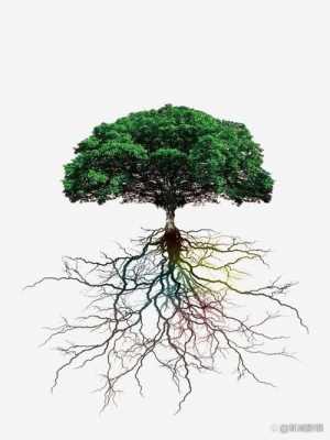 什么样的树是块状根？块状茎的植物有哪些