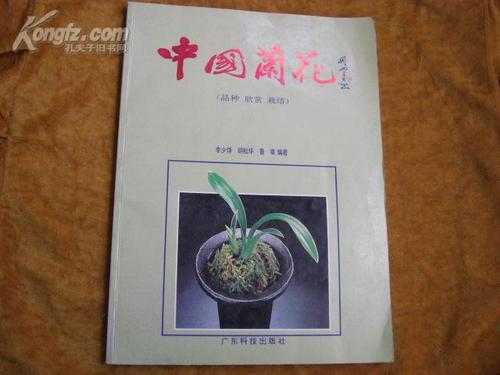 中国兰花文化（中国兰花文化的起源与形成书籍有哪些）-图1