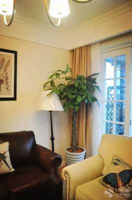 进门见沙发用什么绿植遮挡好？适合摆客厅的植物-图2