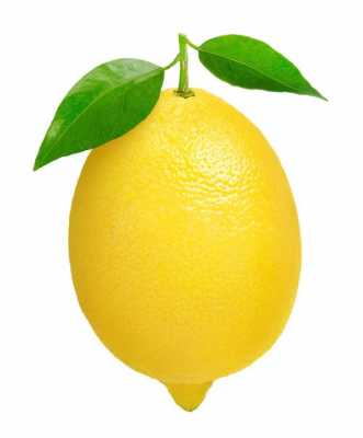 一种植物切开和柠檬很像是什么？柠檬植物图片-图2