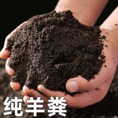 发酵羊粪一袋100斤多少钱？植物发酵肥料-图3