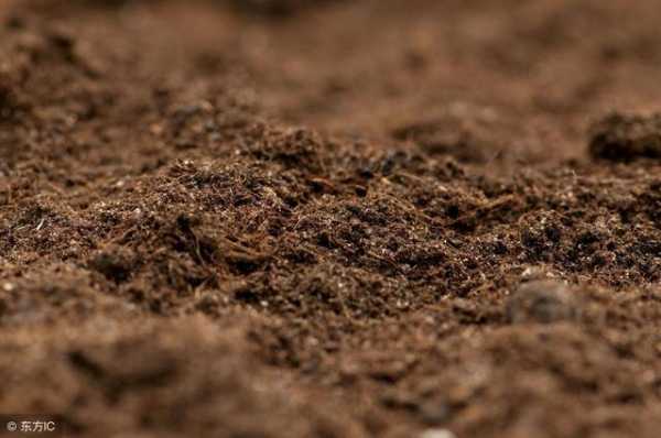土壤和沙土有区别吗？植物泥土