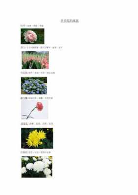 哪些植物的花语是家？植物花语图片