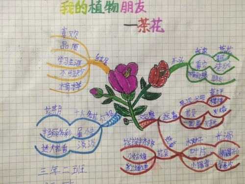 三年级的思维导图怎么做？植物开花植物思维导图-图1