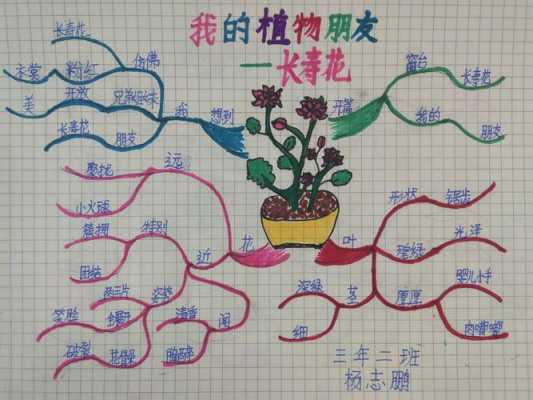 三年级的思维导图怎么做？植物开花植物思维导图-图2