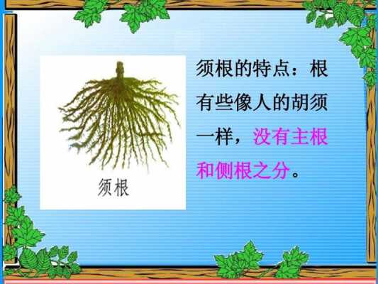 哪些植物是分别用根、茎、叶繁殖后代的？植物繁衍大全