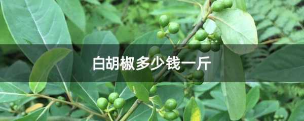 白胡椒能把树治死吗？胡椒防止植物