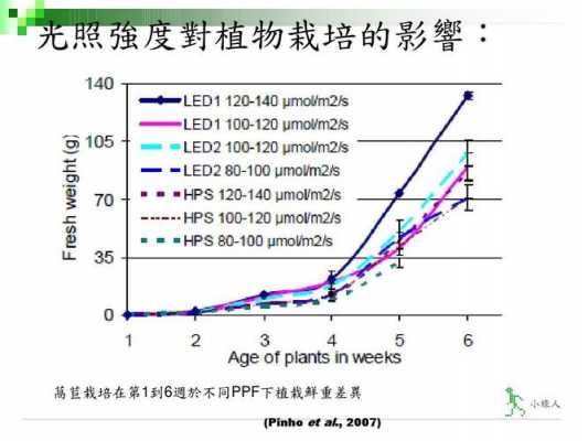 植物根据光照强度不同可以分为几种?中性光照植物-图3 植物根据光照强度不同可以分为几种?中性光照植物-图3