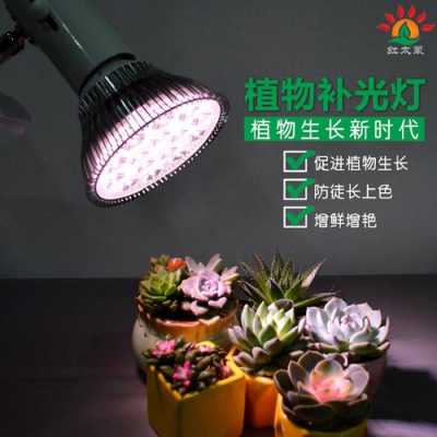 养花小常识，室内养花可以用紫外线消毒灯补光吗？室内杀菌驱虫植物