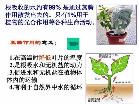 举例说明植物对极端低温的适应？植物耐低温温度
