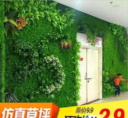 绿色植物背景墙可以放哪些植物？植物成长主题墙
