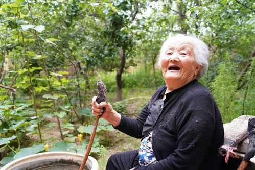 家在农村有什么适合老头老太太在家干的事？植物的种植视频