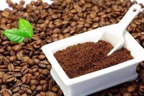 咖啡渣适合养哪些植物？咖啡渣养植物