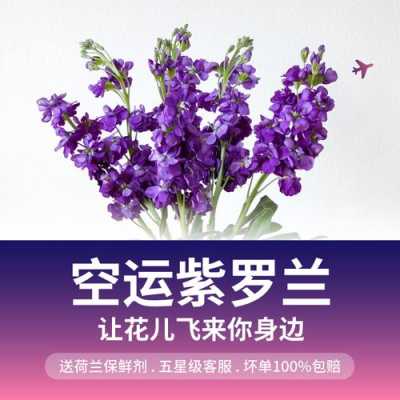 紫罗兰花卉有限公司（紫罗兰集团）