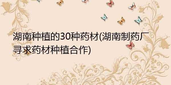 药材怎么给药厂供货？适合药厂种植的植物