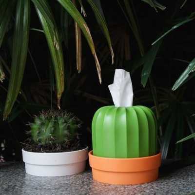 能放在卫生间纸巾盒的小绿植？在纸巾里种植物
