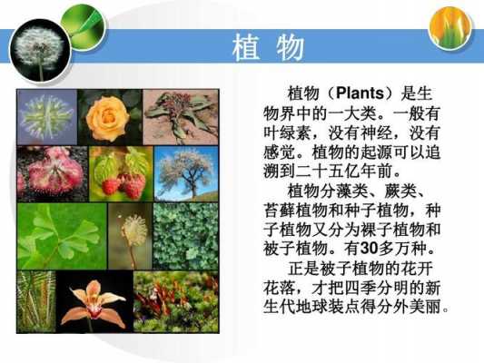 一年级植物在生活中有哪些作用？哪些植物有什么功能
