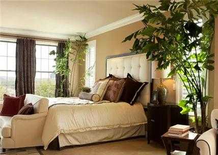 卧室里最多能摆放几盆绿色植物？卧室可以摆放什么植物
