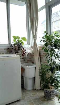 冬天洗衣机放在户外怎样做保温？冬季室内植物如何保温