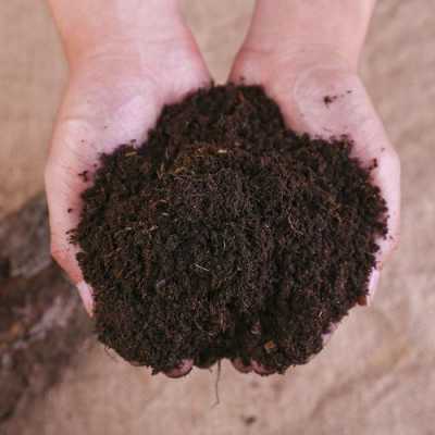 泥炭土配粗砂还是细沙？什么植物适用泥炭土-图3