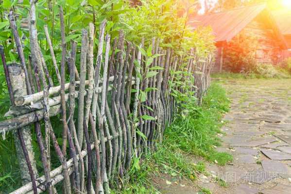 做篱笆是的篱是什么植物？篱的植物有哪些