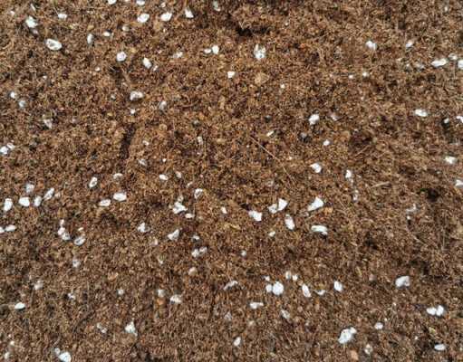 稻谷壳和土混在一起可以做养植物和花的底肥吗？土栽植物图片