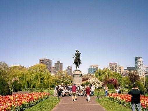 波士顿必去十大景点？波士顿的代表植物