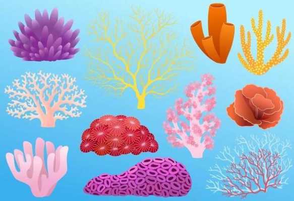 所有动物都有运动系统吗？植物珊瑚怎样长扁型
