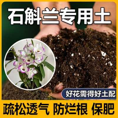 兰花石斛土壤（石斛兰花用什么肥料?）