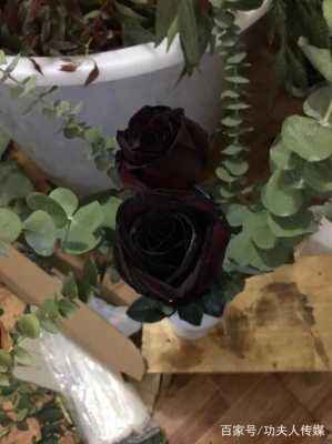 为什么家里不能养黑玫瑰？不宜在家养的植物