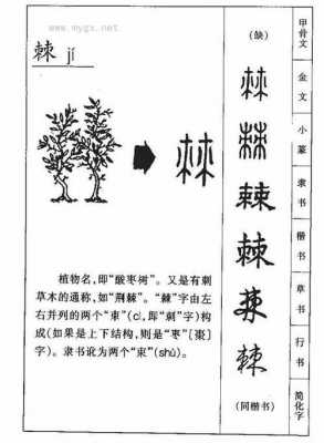 ⺇旁的字有哪些字？绿化植物有棘是什么-图2