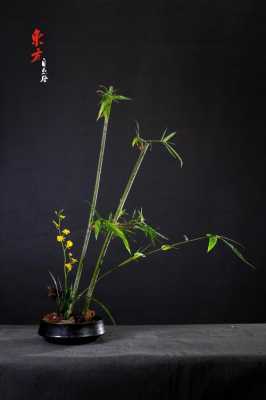 什么花和竹子搭配最好插花？可以和竹子搭配的植物