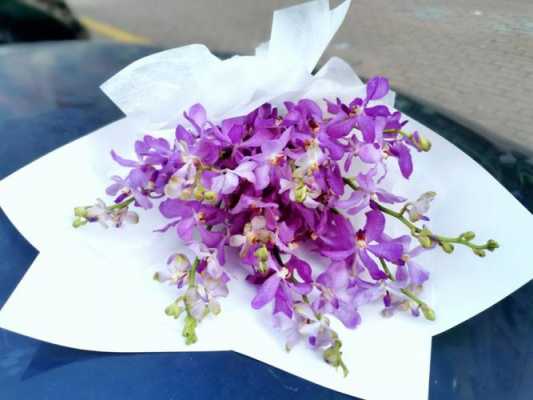 紫色的千代兰花语是（紫色兰花的花语和象征意义）