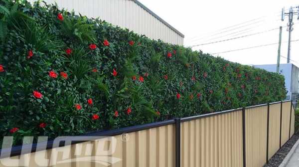 1米高围墙多少钱一米？东北用什么植物做围墙-图2