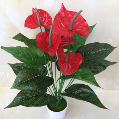 最适合客厅的30种大植物，大气又漂亮，你家有吗？客厅里放红色植物图片