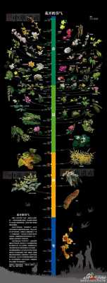 植物开花的时间与哪些因素有关？每个季节代表性的植物