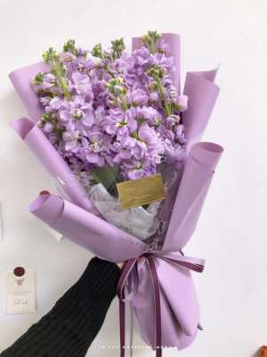 粉色紫罗兰花一束（紫色紫罗兰花）-图1