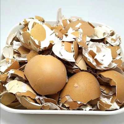 鸡蛋皮是什么肥？鸡蛋皮对植物的作用吗-图3