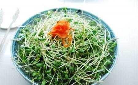 绿豆像什么比喻？植物螃蟹芽的功效与作用-图1