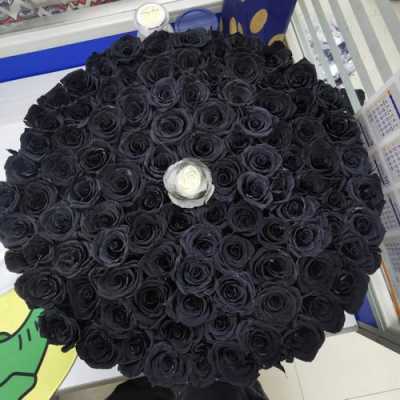 39朵黑玫瑰代表什么意思？植物黑玫瑰花图片大全唯美