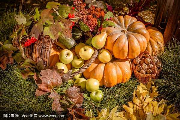 秋天成熟的农作物有哪些？秋季代表性的植物是什么