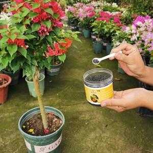 盆栽复合肥如何用？植物盆景怎样用复合肥
